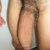 foto do perfil cavalodoagreste25cm
